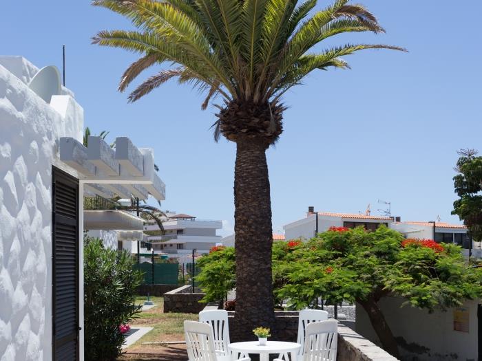 image 241. Espace calme avec terrasse 23