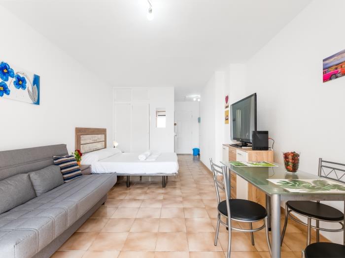 image 651 Bright establishment, heated pool and Wi Fi 12