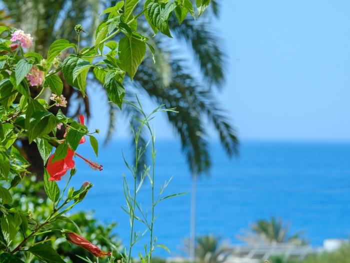 image Beautiful Torreoceano 92, pool, beach Access 29