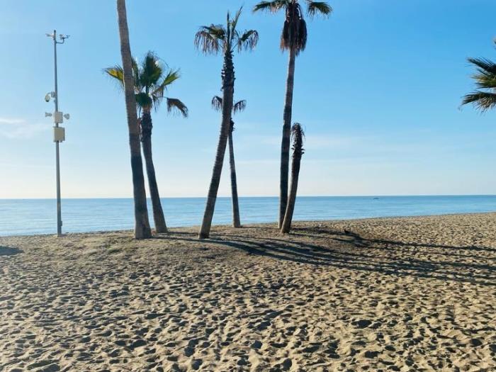 image Fantastic La Cala 10! central, AC, 1 bedroom 8