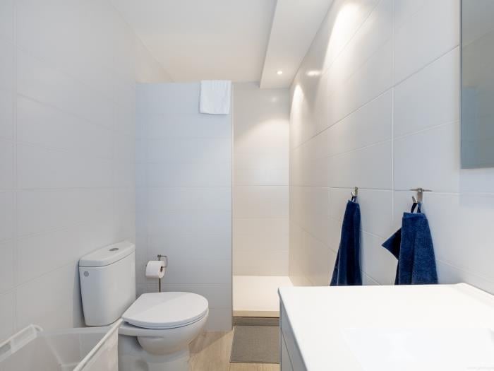 image Atico Vega Penthouse 21