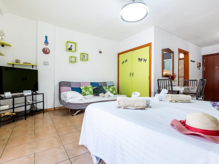 image Parque Cattleya 101 cozy studio in the center 6