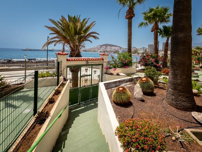 image 31 Los Cristianos front de mer, piscine, WiFi gratuit 31