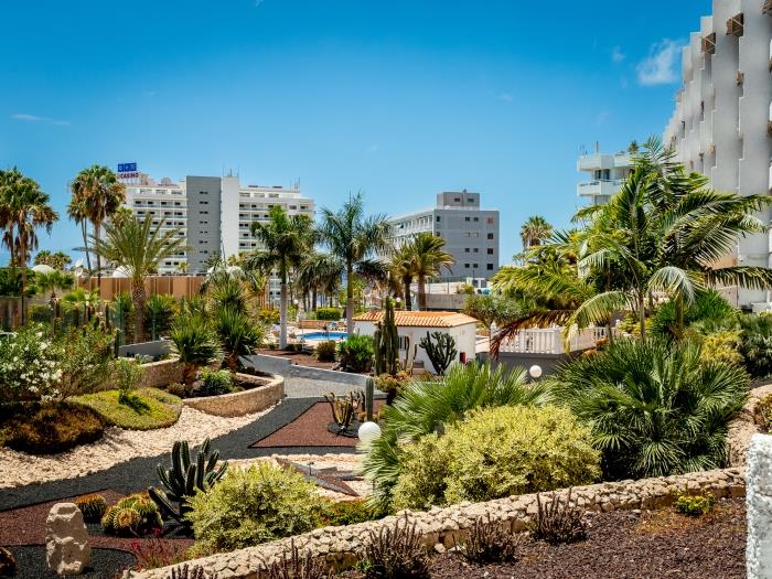 image Borinquen 124 · Modern Studio · Steps from the Beach · Pool 4