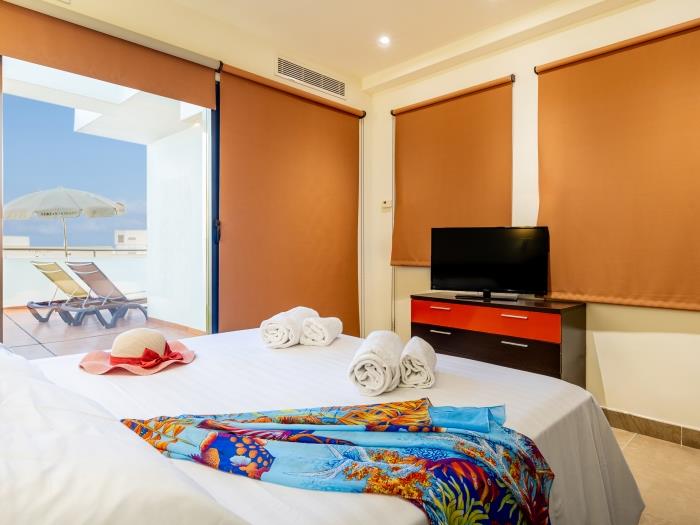 image Beautiful and Luxury Attic Capri C6 16
