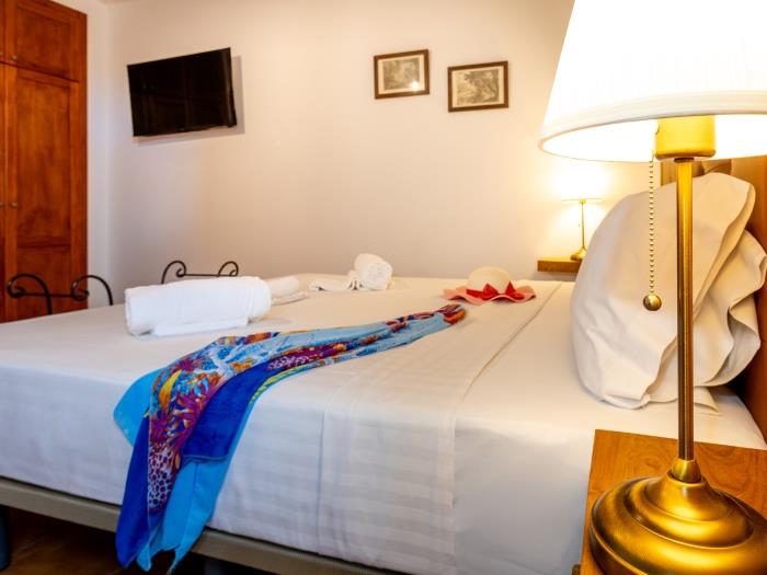 image HOTEL EMBLEMÁTICO DUQUE DE LA TORRE Agave 1 11