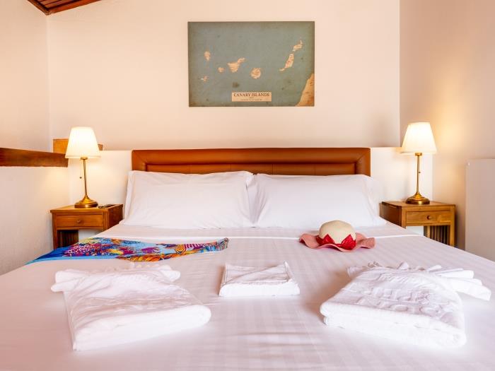 image HOTEL EMBLEMÁTICO DUQUE DE LA TORRE Nispero 7 15