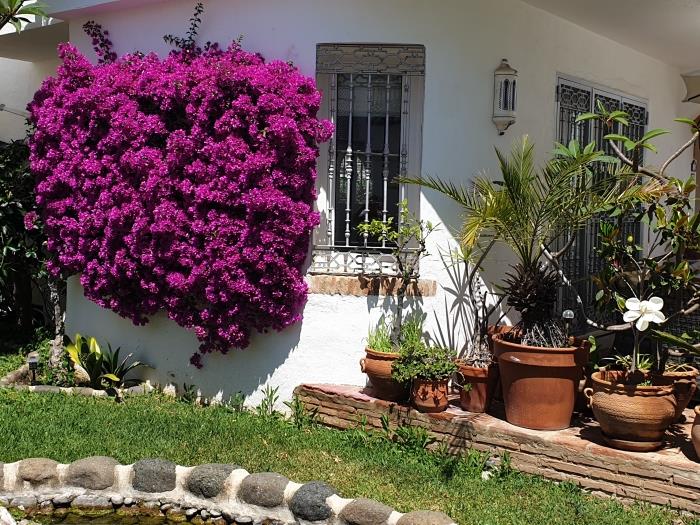 image 50 Beautiful Mijas Playa Club 7